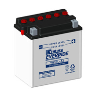 YB10L-A2 Century Everride Motorcycle & Powersport Batteries 9313857335975