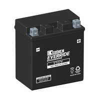 Motorcycle & Powersport Batteries 9313857335715