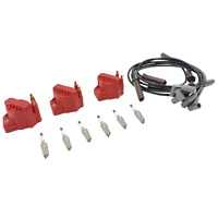 Fit For Holden Commodore VP VR VS VT VX VY V6 3.8L 3 Pack Ignition Coil + 6 x Leads