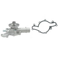 Water Pump Fit For Ford Falcon AU Australia 5.0 i V8 5.0L Petrol Engine