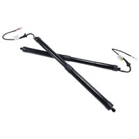 Fit For Toyota RAV4 2019-2024 6892042020 6891042060 Pair Rear Electric Tailgate Gas Struts Black